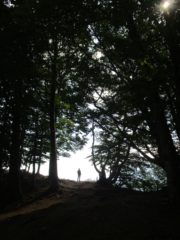 Le forestier image